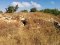 תמונה ממוזערת לגרסה מתאריך 15:11, 5 ביולי 2016