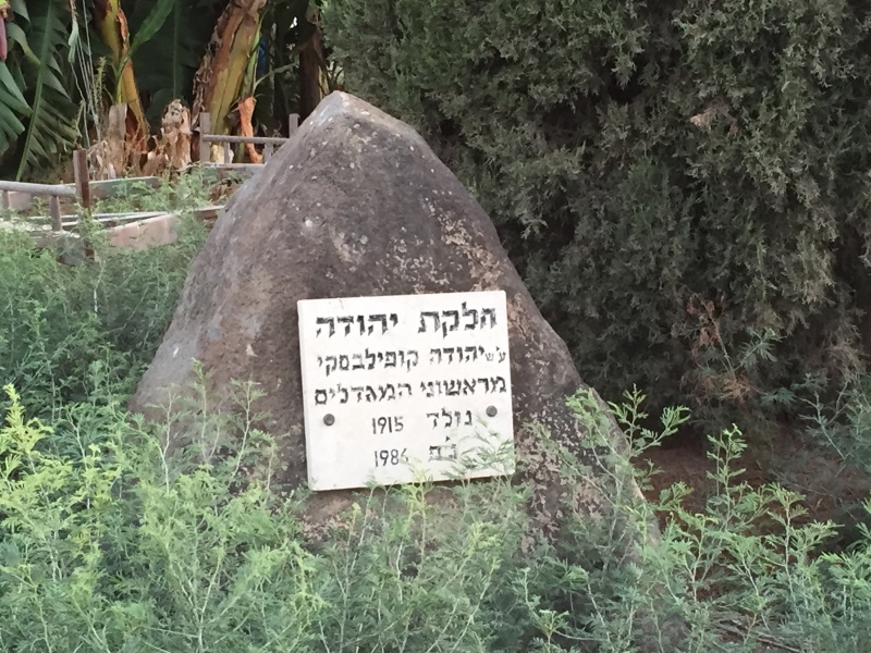 קובץ:2016.08.20-191431.844.iphone.jpg