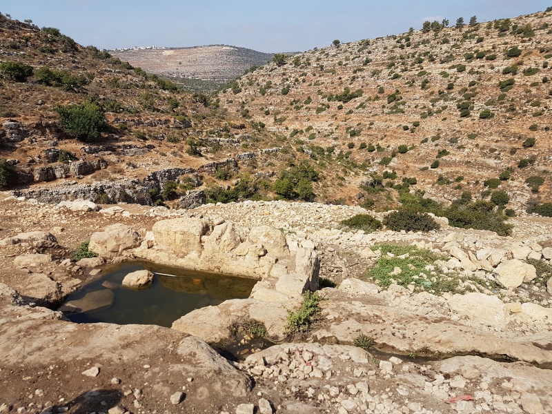 קובץ:2016.08.26-105222.343.android.jpg