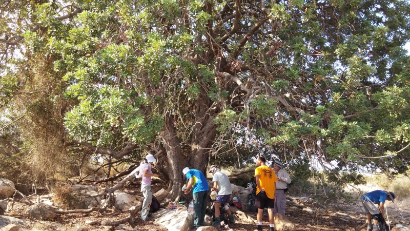 קובץ:2016.09.16-101902.668.android.jpg