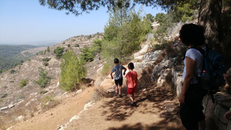 קובץ:2016.10.04-130848.782.android.jpg