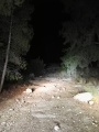 תמונה ממוזערת לגרסה מתאריך 11:51, 29 בדצמבר 2016