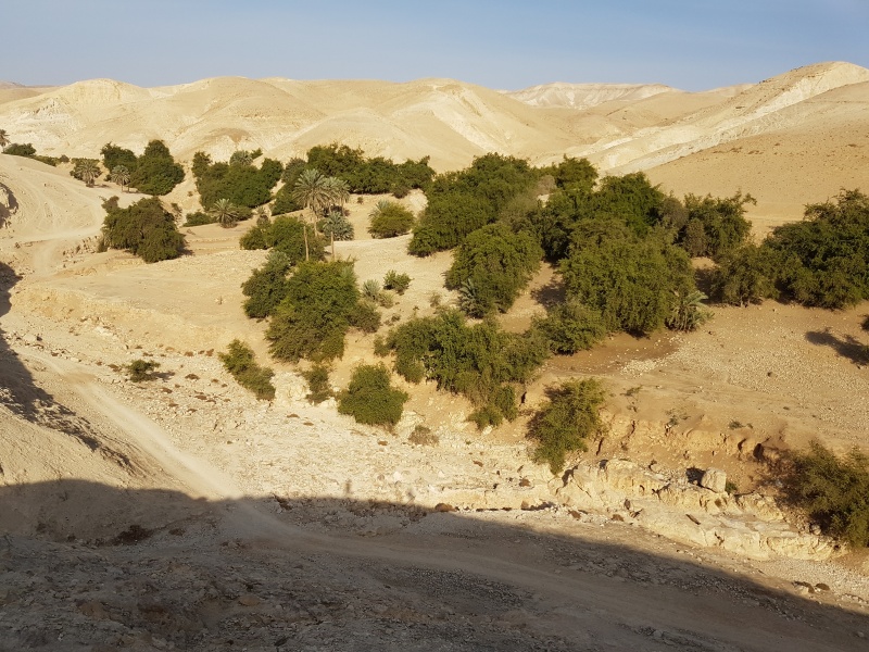 קובץ:2016.11.20-094331.268.android.jpg