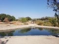 תמונה ממוזערת לגרסה מתאריך 12:30, 21 בנובמבר 2016