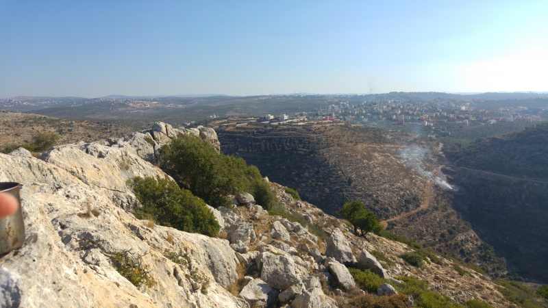 קובץ:2016.12.09-141623.963.android.jpg