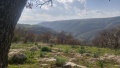 תמונה ממוזערת לגרסה מתאריך 11:08, 24 בינואר 2017