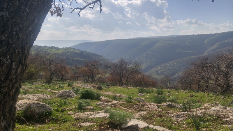 קובץ:2017.01.21-144232.083.android.jpg