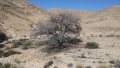 תמונה ממוזערת לגרסה מתאריך 11:04, 28 בפברואר 2017