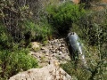 תמונה ממוזערת לגרסה מתאריך 06:30, 22 באוגוסט 2017