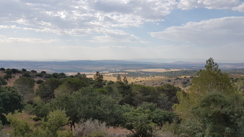 קובץ:2017.06.14-091513.273.android.jpg