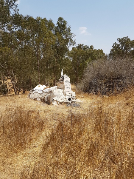 קובץ:2017.07.06-144756.034.android.jpg