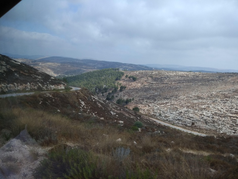 קובץ:2017.08.10-103453.060.android.jpg