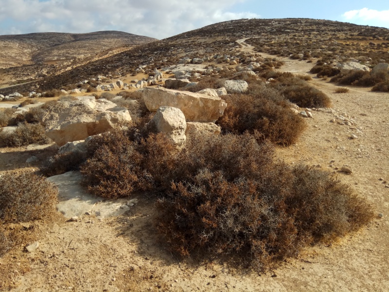 קובץ:2017.09.07-093859.373.android.jpg