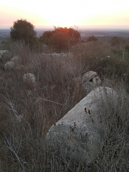 קובץ:2017.09.11-195312.635.android.jpg