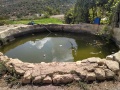 תמונה ממוזערת לגרסה מתאריך 17:39, 23 בנובמבר 2017