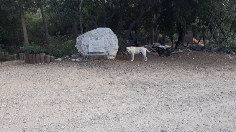 קובץ:2017.11.02-124627.464.android.jpg