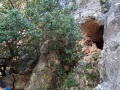 תמונה ממוזערת לגרסה מתאריך 14:48, 3 בפברואר 2018