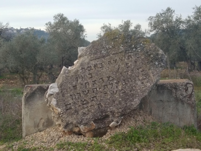 קובץ:2018.02.05-083605.689.android.jpg