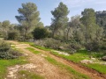 תמונה ממוזערת לגרסה מתאריך 13:01, 9 בפברואר 2018