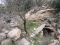 תמונה ממוזערת לגרסה מתאריך 11:04, 11 בפברואר 2018