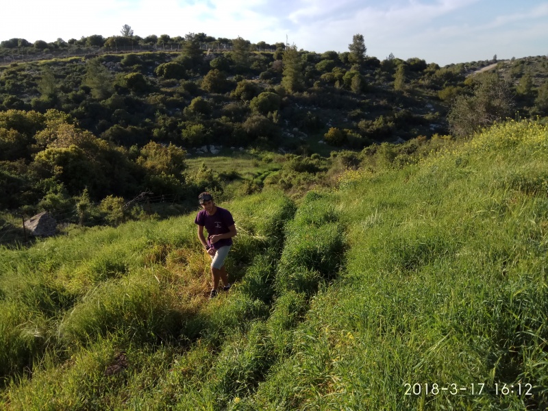 קובץ:2018.03.17-171320.479.android.jpg