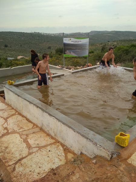 קובץ:2018.04.03-175109.473.android.jpg