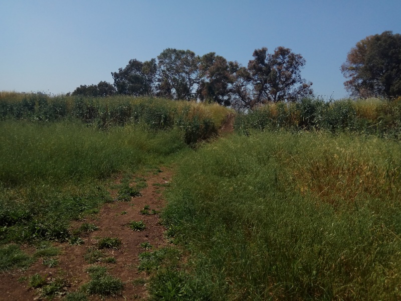 קובץ:2018.04.14-123450.515.android.jpg