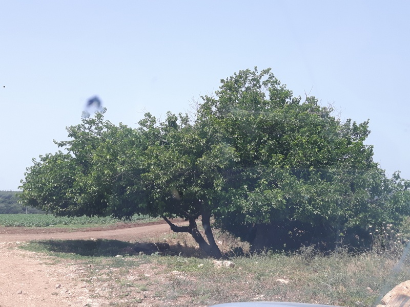 קובץ:2018.05.20-123020.721.android.jpg