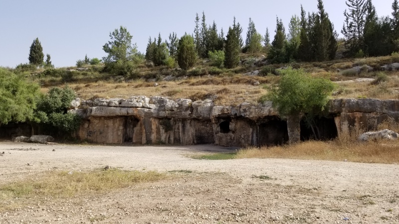 קובץ:2018.05.25-174903.651.android.jpg