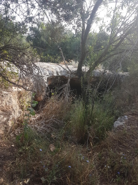 קובץ:2018.05.26-090458.277.android.jpg