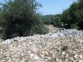 תמונה ממוזערת לגרסה מתאריך 14:15, 17 באפריל 2019