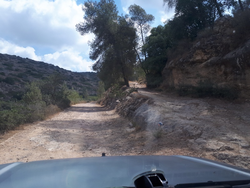 קובץ:2018.06.03-111512.326.android.jpg