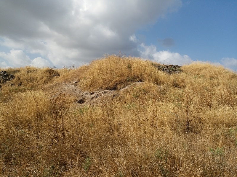 קובץ:2018.06.11-091709.488.android.jpg