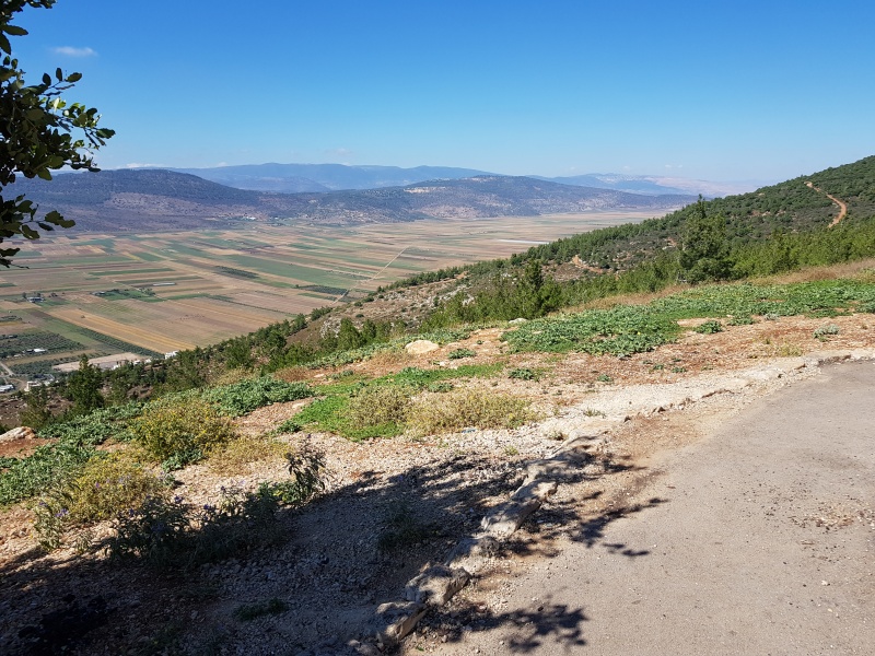 קובץ:2018.06.20-164117.050.android.jpg