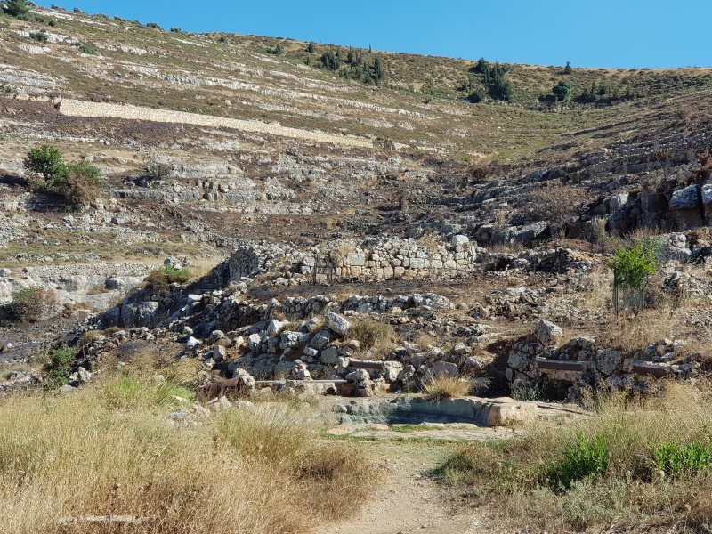 קובץ:2018.06.20-173807.725.android.jpg