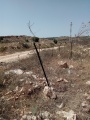 תמונה ממוזערת לגרסה מתאריך 20:15, 23 ביוני 2018