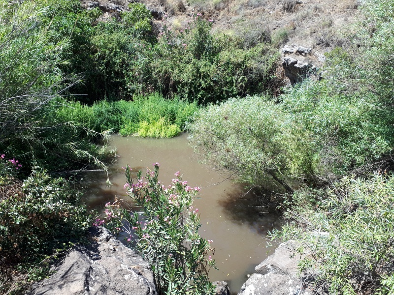 קובץ:2018.07.10-152317.138.android.jpg