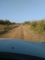 תמונה ממוזערת לגרסה מתאריך 18:55, 8 באפריל 2019