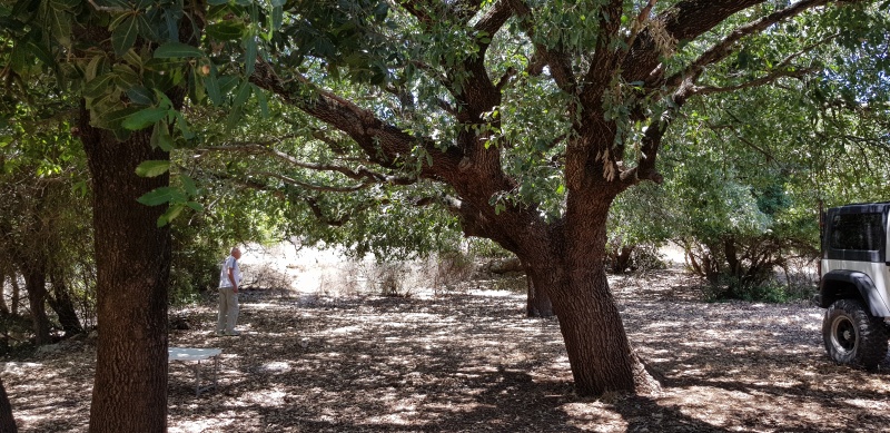 קובץ:2018.07.27-132219.713.android.jpg