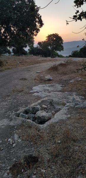 קובץ:2018.08.05-070339.039.android.jpg