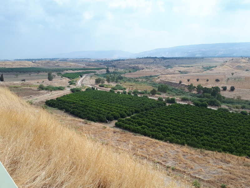 קובץ:2018.08.09-105959.143.android.jpg