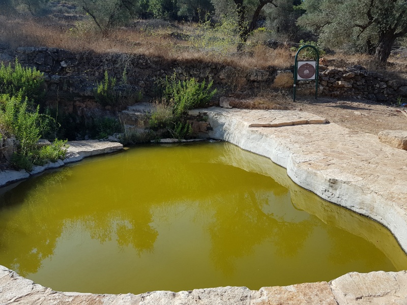 קובץ:2018.08.24-102757.199.android.jpg