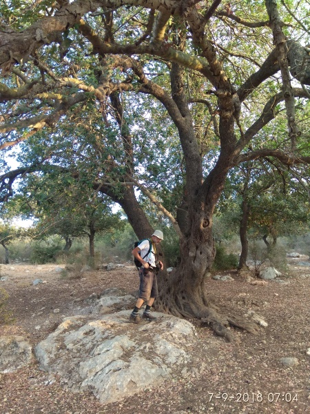 קובץ:2018.09.07-080550.304.android.jpg