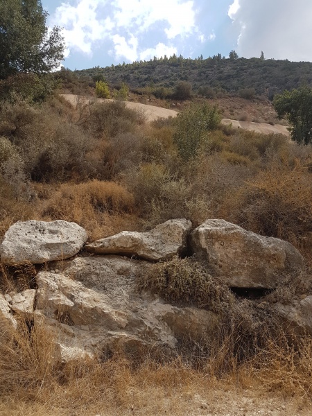 קובץ:2018.09.08-155011.693.android.jpg