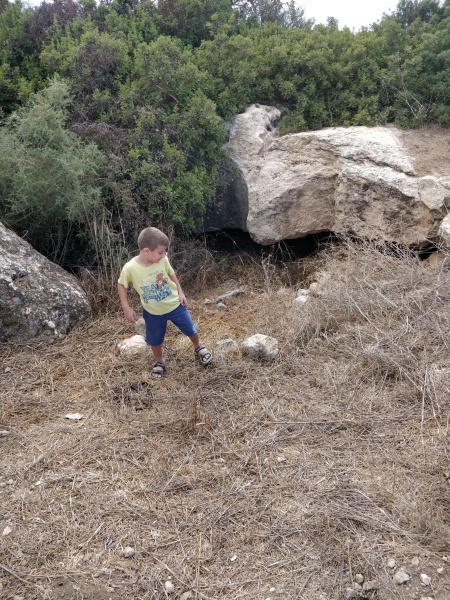 קובץ:2018.09.15-160451.928.android.jpg