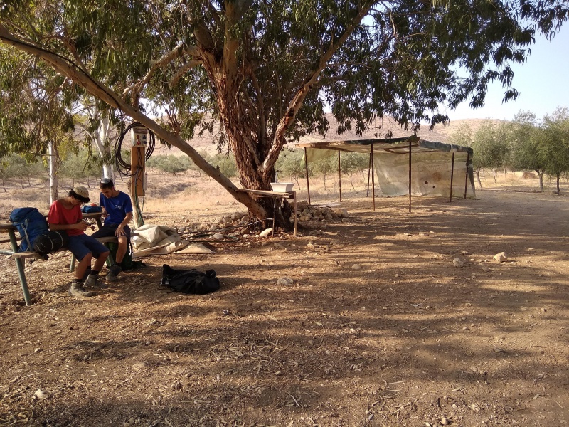 קובץ:2018.10.03-093505.306.android.jpg