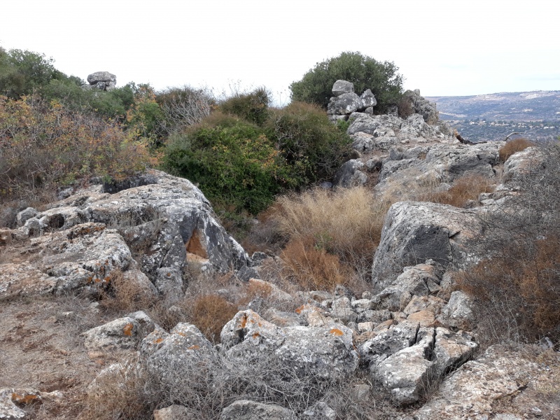 קובץ:2018.10.07-161638.578.android.jpg