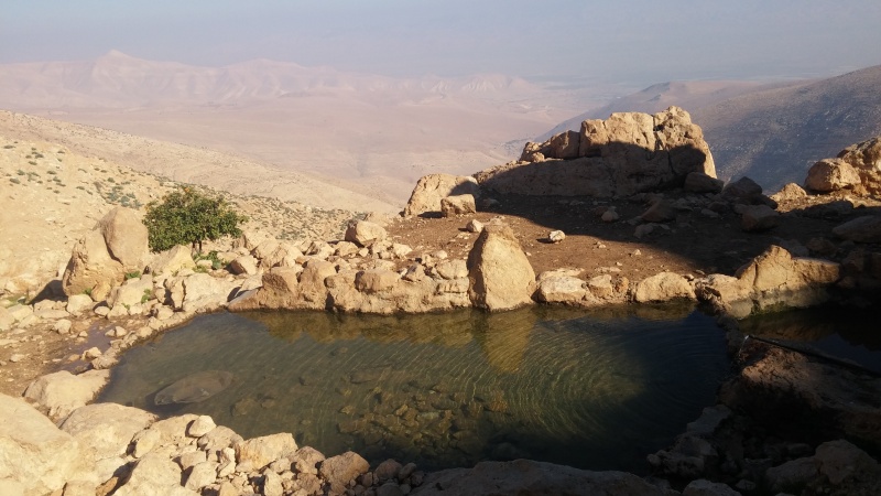 קובץ:20180108 133056-1-.jpg