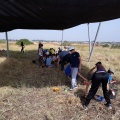 תמונה ממוזערת לגרסה מתאריך 11:07, 12 ביוני 2018