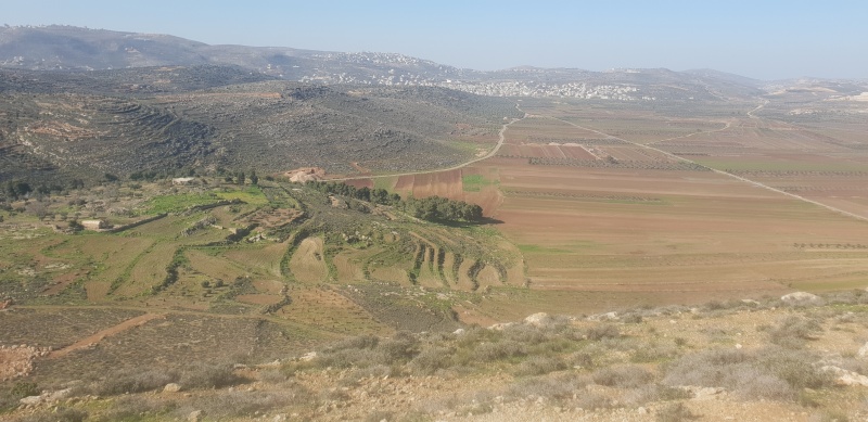 קובץ:2019.01.04-112920.587.android.jpg